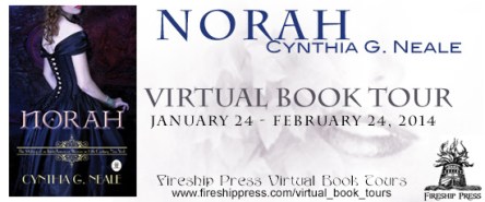 Norah book tour